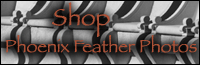 Buy Photography Products by Rachel Lea Fisher